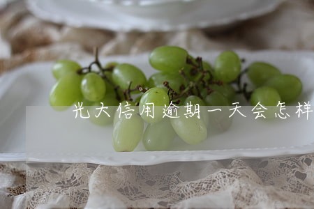 光大信用逾期一天会怎样 光大信用逾期一天会怎样