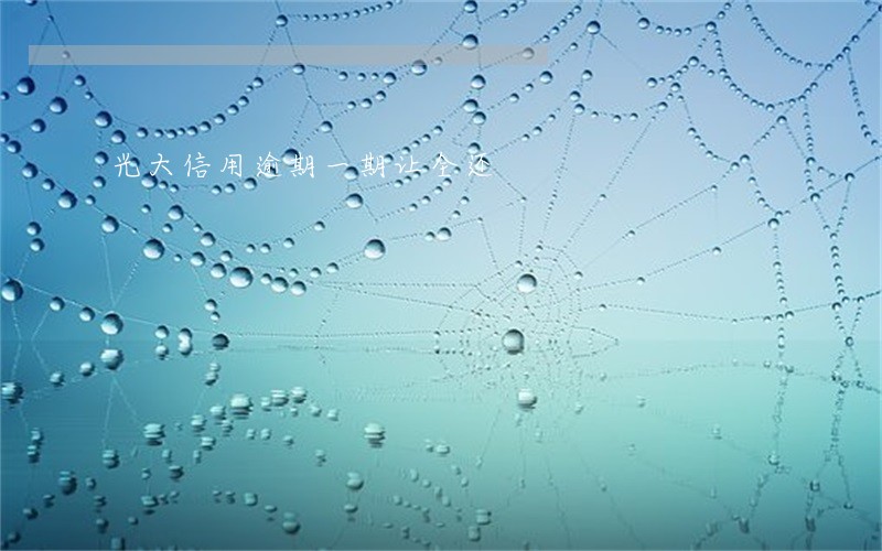 光大信用逾期一期让全还 光大信用逾期一期让全还