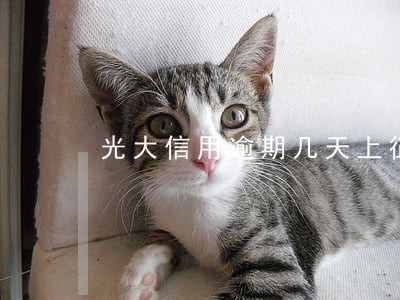 光大信用逾期几天上征信 光大信用逾期几天上征信