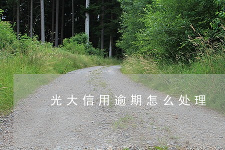 光大信用逾期怎么处理 光大信用逾期怎么处理
