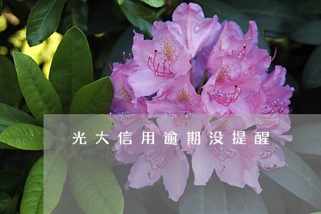 光大信用逾期没提醒 光大信用逾期没提醒