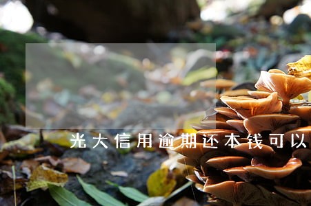 光大信用逾期还本钱可以吗 光大信用逾期还本钱可以吗