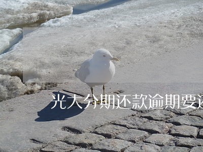 光大分期还款逾期要还2个月 光大分期还款逾期要还2个月