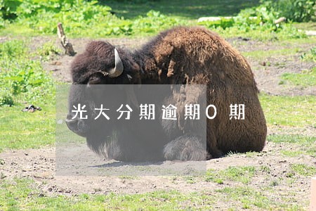 光大分期逾期0期 光大分期逾期0期
