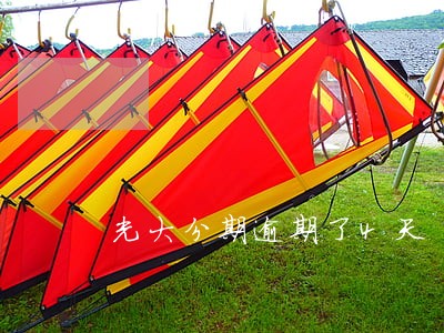 光大分期逾期了4天 光大分期逾期了4天