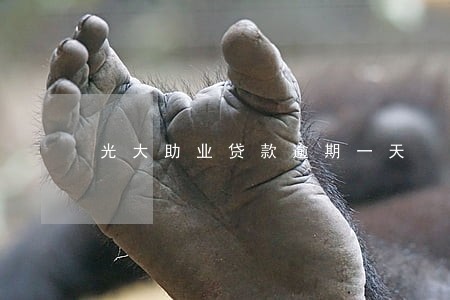光大助业贷款逾期一天 光大助业贷款逾期一天
