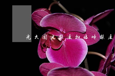 光大固定额度加临时额度逾期7万 光大固定额度加临时额度逾期7万