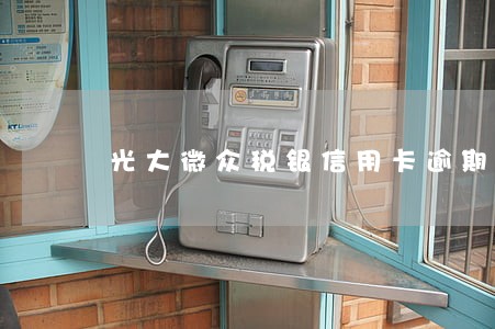 光大微众税银信用卡逾期 光大微众税银信用卡逾期