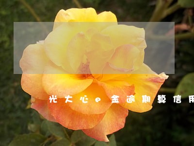 光大心e金逾期算信用卡透支吗 光大心e金逾期算信用卡透支吗