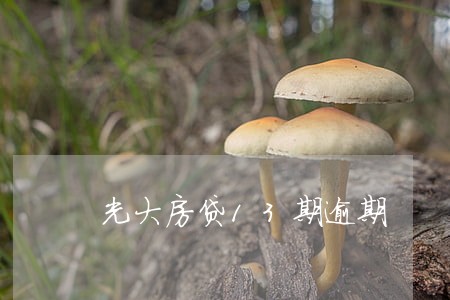光大房贷13期逾期 光大房贷13期逾期