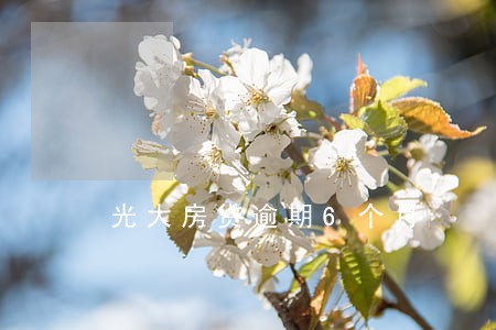 光大房贷逾期6个月 光大房贷逾期6个月