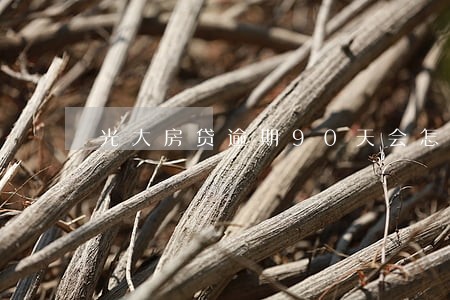 光大房贷逾期90天会怎么样 光大房贷逾期90天会怎么样