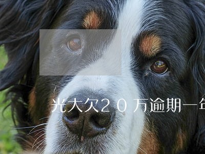 光大欠20万逾期一年了怎么办 光大欠20万逾期一年了怎么办