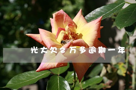 光大欠2万多逾期一年 光大欠2万多逾期一年