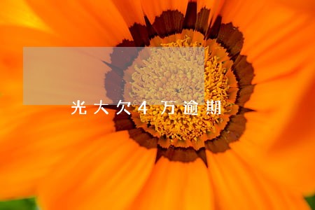 光大欠4万逾期 光大欠4万逾期