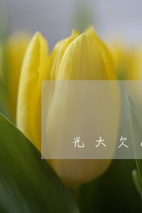 光大欠6万逾期说来家访 光大欠6万逾期说来家访