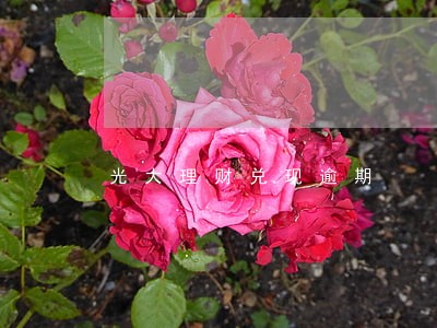 光大理财兑现逾期 光大理财兑现逾期