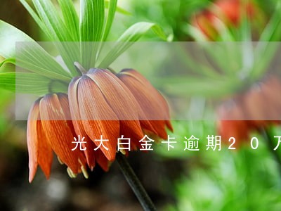 光大白金卡逾期20万 光大白金卡逾期20万