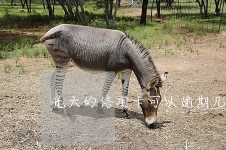 光大的信用卡可以逾期几天 光大的信用卡可以逾期几天