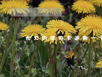 光大的信用卡逾期一个月 光大的信用卡逾期一个月