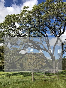 光大的信用卡逾期一天 光大的信用卡逾期一天
