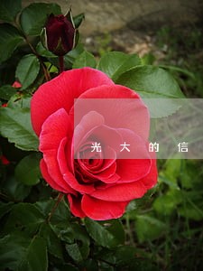 光大的信用卡逾期两天 光大的信用卡逾期两天