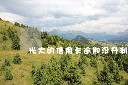 光大的信用卡逾期没升利息 光大的信用卡逾期没升利息