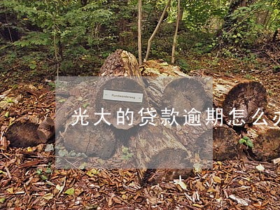 光大的贷款逾期怎么办 光大的贷款逾期怎么办