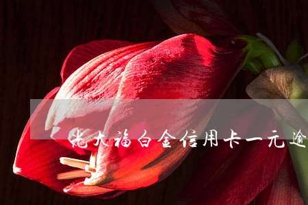 光大福白金信用卡一元逾期两天 光大福白金信用卡一元逾期两天