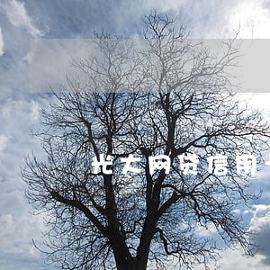 光大网贷信用卡逾期
