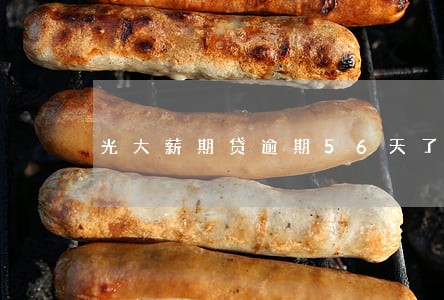 光大薪期贷逾期56天了 光大薪期贷逾期56天了