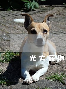 光大薪期贷逾期56天了上海 光大薪期贷逾期56天了上海