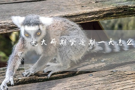 光大薪期贷逾期一天怎么办信用卡 光大薪期贷逾期一天怎么办信用卡