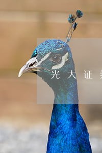 光大证券或需承担法律责任 光大证券或需承担法律责任