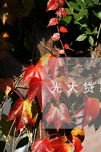 光大贷款逾期1天影响大吗 光大贷款逾期1天影响大吗