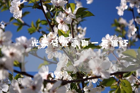 光大贷款逾期一天催还 光大贷款逾期一天催还