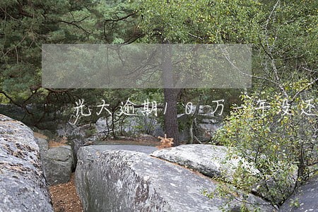 光大逾期10万一年没还 光大逾期10万一年没还