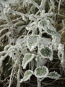 光大逾期10天会上征信么 光大逾期10天会上征信么