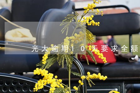 光大逾期10天要求全额还款 光大逾期10天要求全额还款
