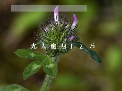光大逾期12万 光大逾期12万