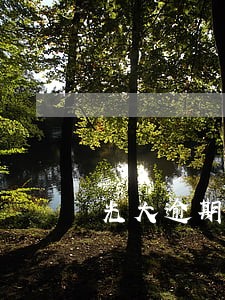 光大逾期15万每月还3000 光大逾期15万每月还3000