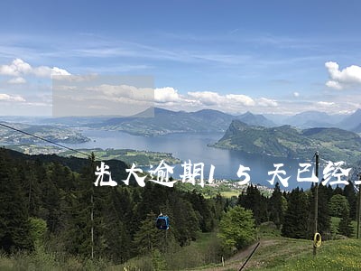 光大逾期15天已经上征信了 光大逾期15天已经上征信了