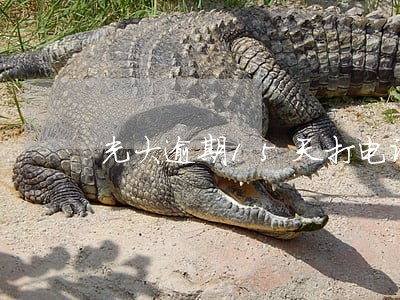 光大逾期15天打电话催账 光大逾期15天打电话催账