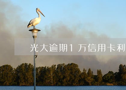 光大逾期1万信用卡利息多少 光大逾期1万信用卡利息多少