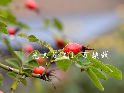 光大逾期1万块钱 光大逾期1万块钱