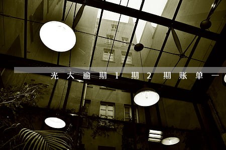 光大逾期1期2期账单一起还 光大逾期1期2期账单一起还