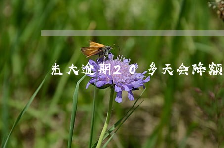 光大逾期20多天会降额吗 光大逾期20多天会降额吗