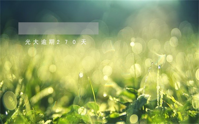 光大逾期270天 光大逾期270天