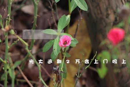 光大逾期2万会上门吗上海 光大逾期2万会上门吗上海
