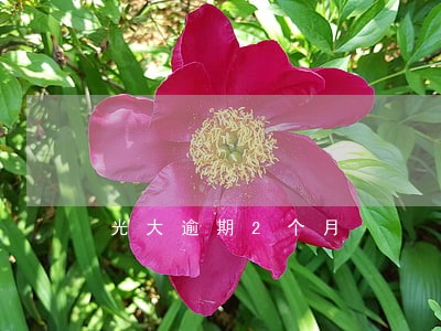 光大逾期2个月 光大逾期2个月